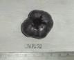 Click for 1 image(s) for this accession. FRUIT